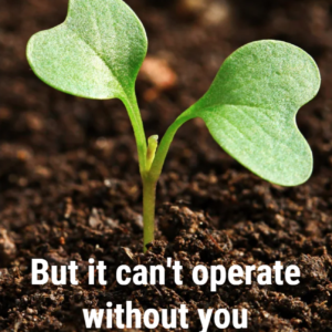 Farm & Ranch Stress Assistance Brochure