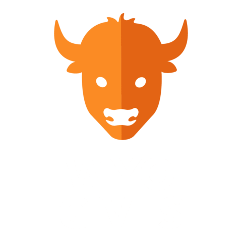 Orangewhite Logo